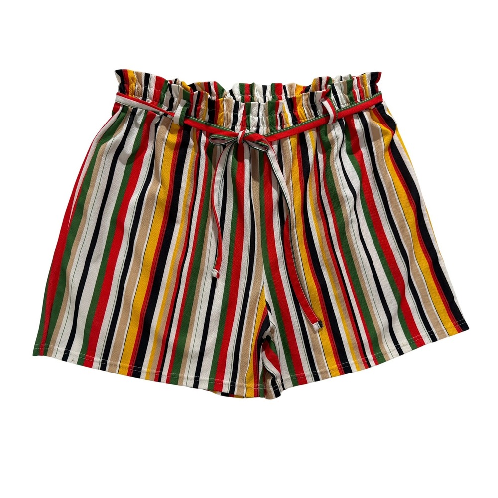 Colorful Stripe High Waist Shorts Elastic Waist Belted Summer Casual